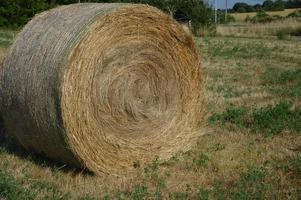 Hay roll in the field photo