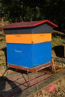 A colorful beehive photo