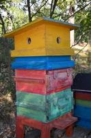 A colorful beehive photo