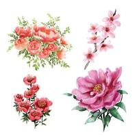 Set of wild flower watercolor style on white background.