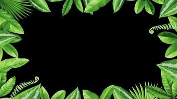 Animation green leaf frame with black s video