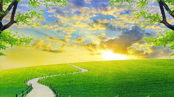 Beautiful golden sky with green lawn. video