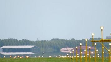 amsterdam, nederland 27 juli 2017 - aeroflot airbus 320 vp bfq vlucht afl2694 vanuit moskou -svo- landing op 18r polderbaan, heat haze, shiphol airport, amsterdam, holland video