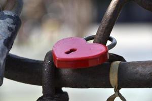 Love padlocks on the fence of the iron fence in the park photo