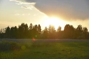 puesta de sol por la noche en el bosque nubes azules y rosas y bosque foto