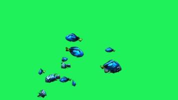 animatie blauwe cartoon vis op groene achtergrond. video