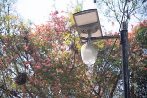 Nature blended lamppost photo