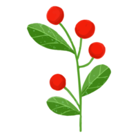 acuarela flor de navidad, decoración pintada a mano png