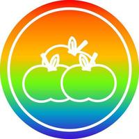 pile of apples circular in rainbow spectrum vector