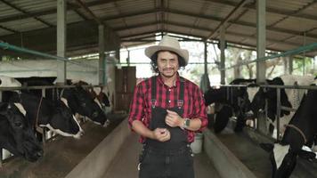 portret van een senior glimlachende man die naar de camera kijkt op de veehouderij. succesvolle landbouwarbeider die zich voorbereidt om koeien te voeren. ecologisch vriendelijk landbouwconcept video