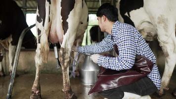 tecnologia per l'agricoltura intelligente dell'uomo. il lattaio contadino con una tavoletta digitale esamina la quantità di latte prodotta da uno stile di vita di mucca maculata. un contadino lavora accanto a una mucca in un caseificio video