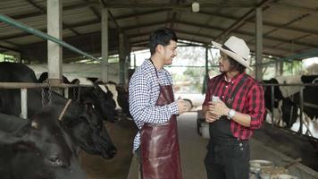 zakelijke senior man gekleed in een cowboy pak, een shirt met scotch patroon, uitwisselingen. geld aanhouden om koeien te kopen zaken doen met een jonge boerderijeigenaar die vrolijk praat en lacht op de koeienboerderij video