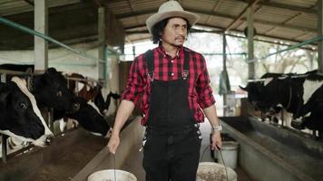agricultura, homens idosos proprietário fazenda usam botas camisas xadrez vermelhas duas mãos carregando um balde para alimentar as vacas diariamente. na fazenda de vacas