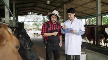 Vet or agricultural scientist in white coat and with clipboard giving instructions to Senior farmworker standing in farm cowshed and looking at dairy cows eating hay installs.