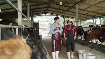 hombre senior de negocios vestido con un traje de vaquero, una camisa con estampado escocés, intercambios. tener dinero para comprar vacas hacer socios comerciales con un joven propietario de una granja hablando alegremente y sonriendo en el rancho de vacas video