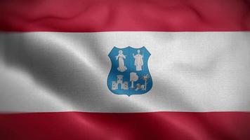 assuncion paraguay drapeau boucle fond 4k video