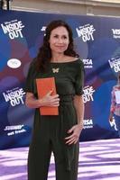 LOS ANGELES, JUN 8 -  Minnie Driver at the Inside Out Premiere at the El Capitan Theatre on June 8, 2015 in Los Angeles, CA photo