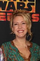 LOS ANGELES, SEP 27 -  Joely Fisher at the Star Wars Rebels Premiere Screening at AMC Century City on September 27, 2014 in Century City, CA photo