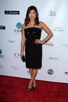 LOS ANGELES, MAY 21 -  Jenna Ushkowitz at the 17th From Slavery to Freedom Gala at the Skirball Center on May 21, 2015 in Los Angeles, CA photo