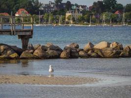 the city of Eckernfoerde at the baltic sea photo