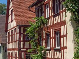 summer tiem at the lake constance in germany photo