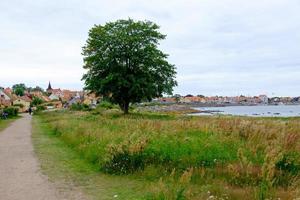 svaneke en la isla de bornholm foto