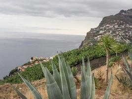 la isla portuguesa madeira foto