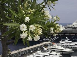 monaco at the mediterranean sea photo