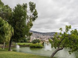 Madeira island in portugal photo