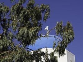 santorini island in greece photo