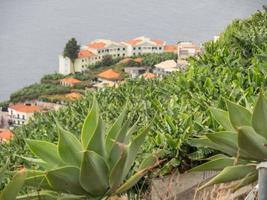 The portugese Island Madeira photo