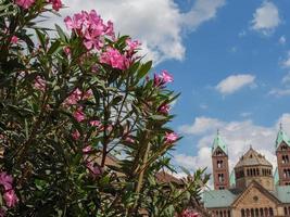 the old city of Speyer in germany photo