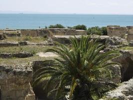 the city of tunis in tunisia photo