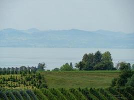 Lindau and Bregenz at the lake constance photo