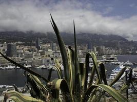 monaco at the mediterranean sea photo