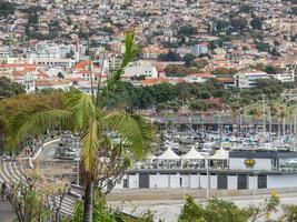 Madeira island in portugal photo