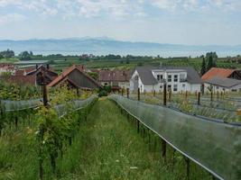 Lindau and Bregenz at the lake constance photo