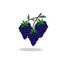 Blackberry fruit illustration. Blackberry icon. Fruits vector