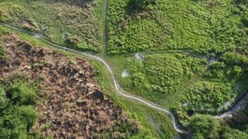 Vue aérienne de l'herbe sèche dans le pré video