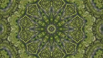 Kaleidoscopic green tree forest pattern in motion abstract video