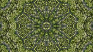 Kaleidoscopic green tree forest pattern in motion abstract video