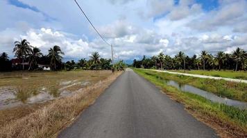 moverse en la carretera asfaltada cerca de la plantación de arrozales video