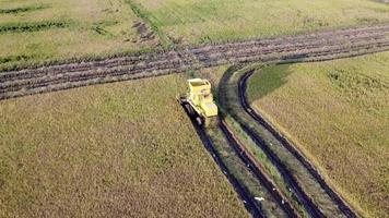 Aerial view descending yellow harvester