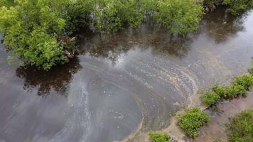 Aerial rotation view chemical water pollution video