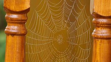 spinnenweb bevestigd tussen twee houten balusters trillend in een zachte wind. video