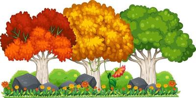 Different trees in different seasons vector