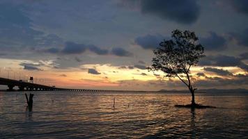 coucher de soleil de palétuviers en mer côtière avec architecture deuxième pont de penang