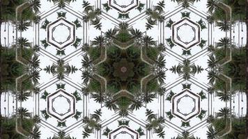 Circular palm tree kaleidoscope pattern video