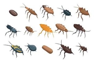 Cockroach icons set, isometric style vector