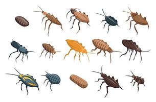 Cockroach icons set, isometric style vector